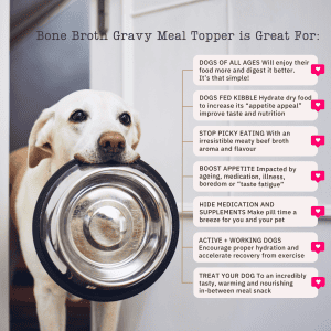 Is gravy store bad for dogs